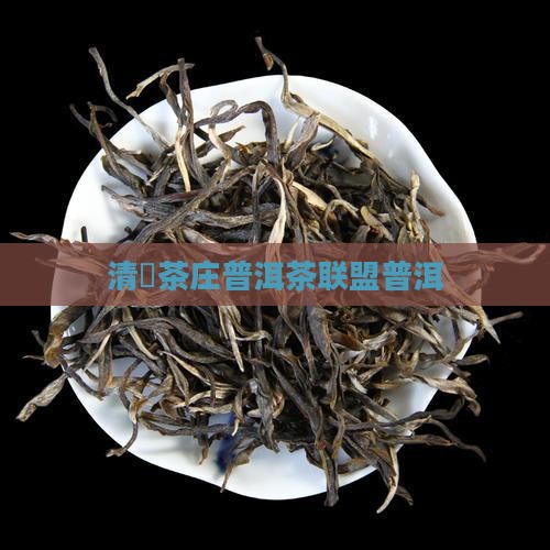 清玥茶庄普洱茶联盟