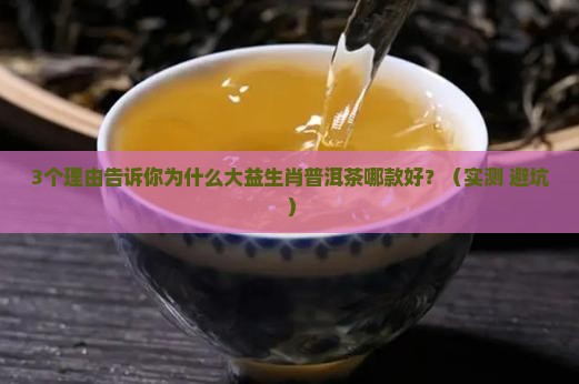 大益生肖普洱茶哪款好