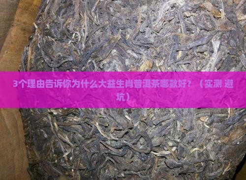 大益生肖普洱茶哪款好