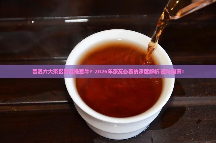 普洱六大茶区排名