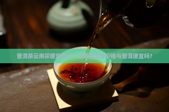 普洱茶云南买便宜些吗