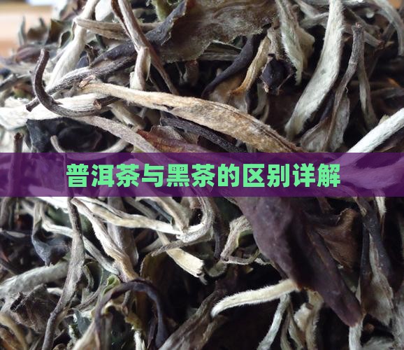 普洱茶黑茶有什么区别