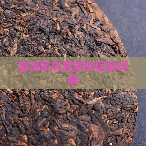 普洱茶黑茶有什么区别