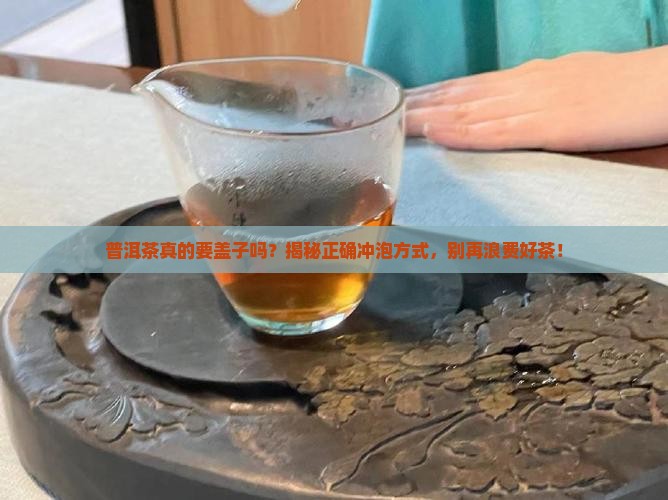 普洱茶要用盖子吗