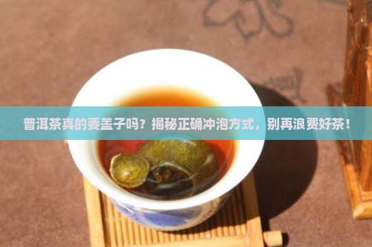 普洱茶要用盖子吗