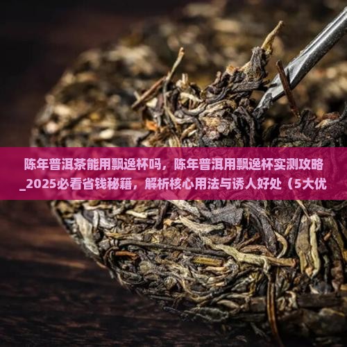 陈年普洱茶能用飘逸杯吗
