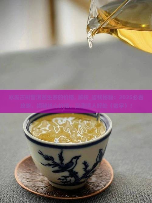 冰岛古树普洱茶生茶的价格