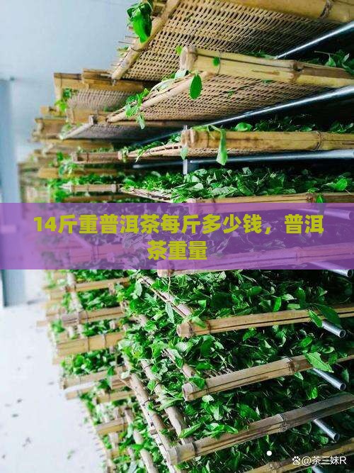 14斤重普洱茶