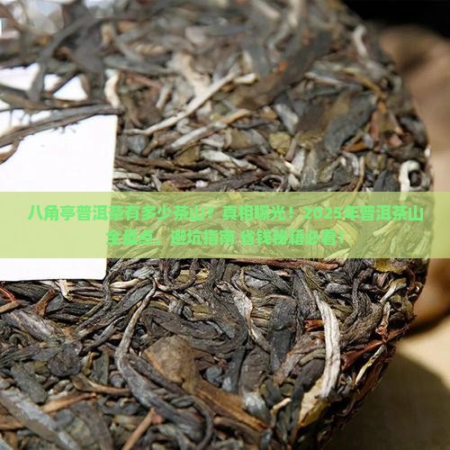 八角亭普洱茶有多少茶山