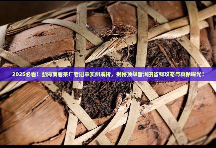 勐海南春茶厂老班章