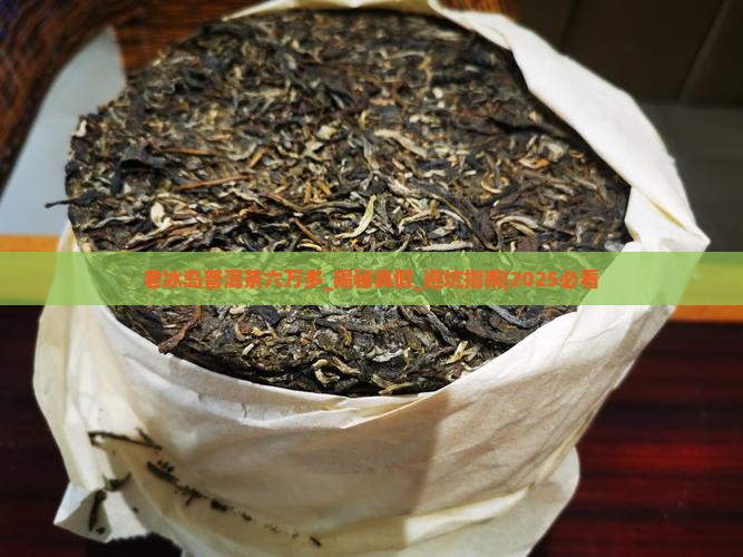 老冰岛普洱茶六万多