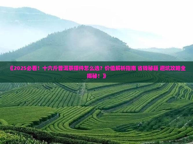 十六斤普洱茶摆件