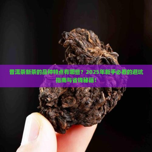 普洱茶新茶的品种特点有