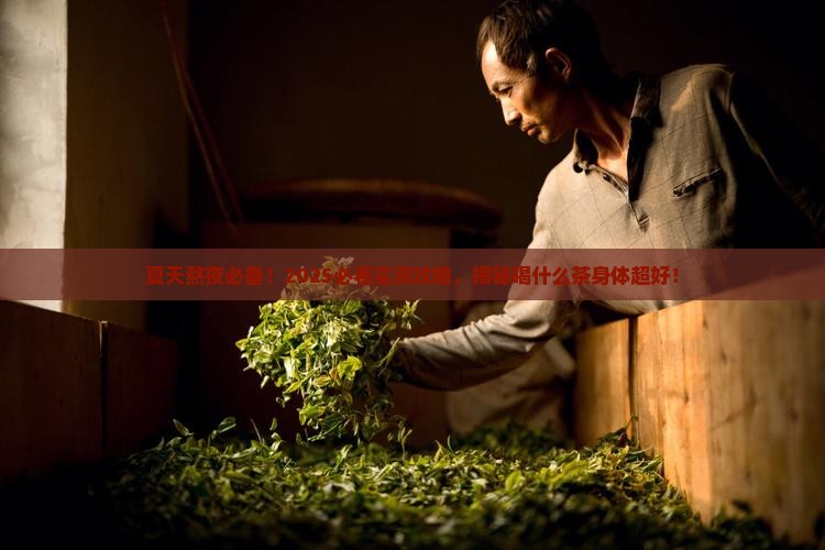 夏天经常熬夜喝什么茶对身体好