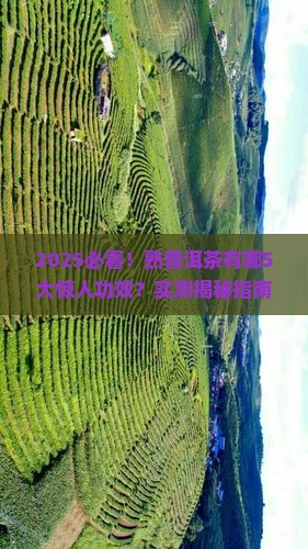 普洱熟茶有哪些功效
