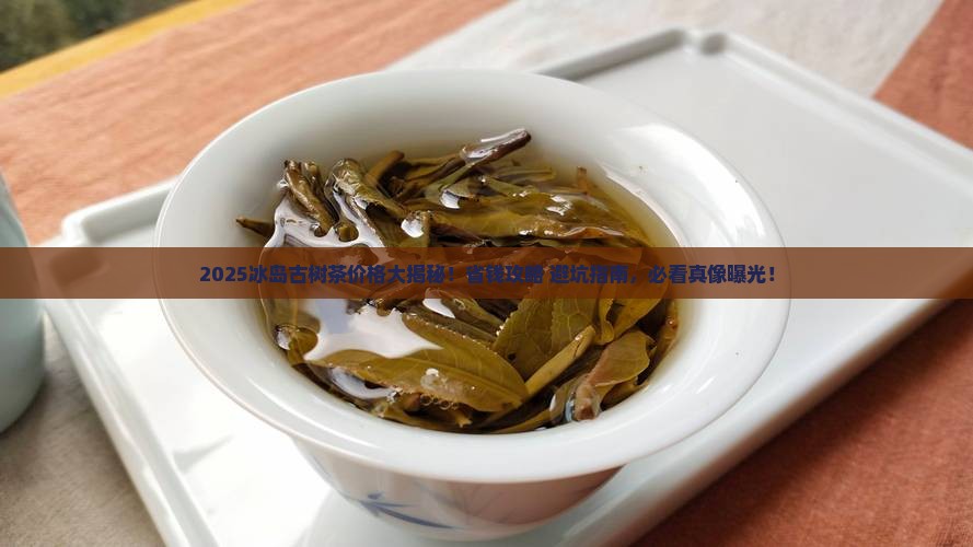 2019冰岛古树茶价格