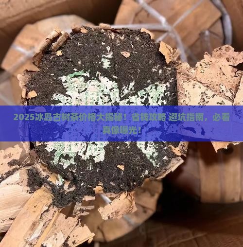 2019冰岛古树茶价格