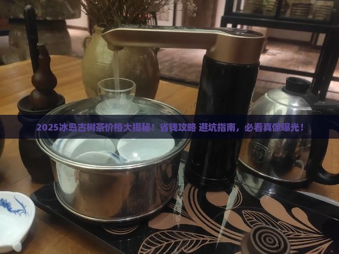 2019冰岛古树茶价格