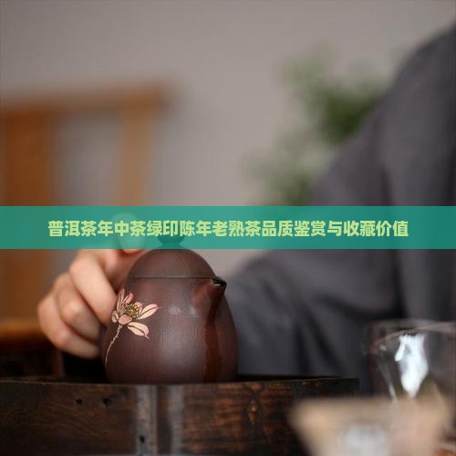 普洱茶年中茶绿印陈年老熟茶