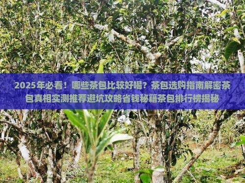 比较好喝的茶包