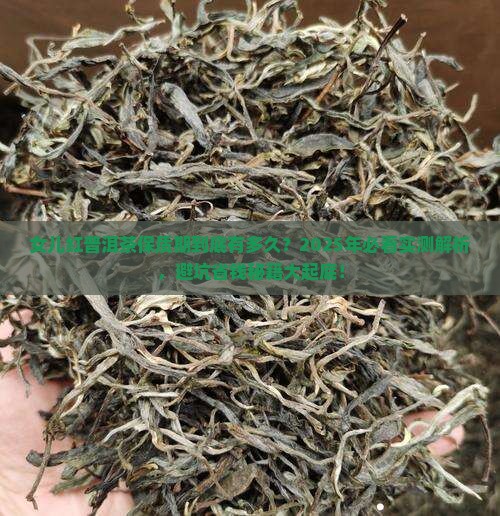 女儿红普洱茶保质期