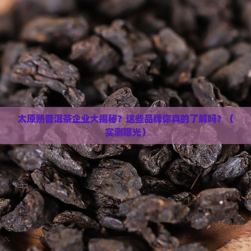 太原知名熟普洱茶企业有哪些
