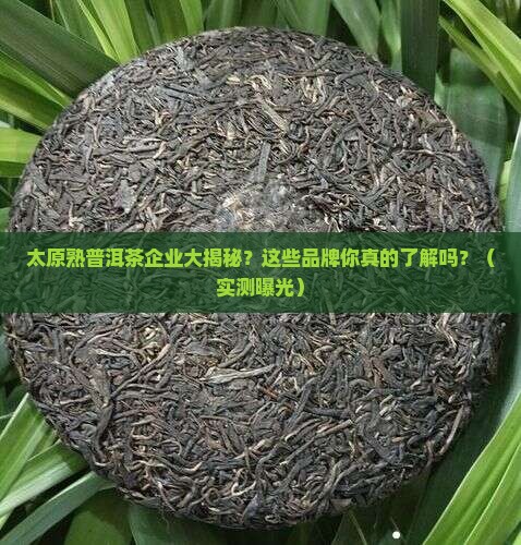 太原知名熟普洱茶企业有哪些