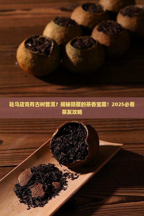 驻马店古树普洱茶