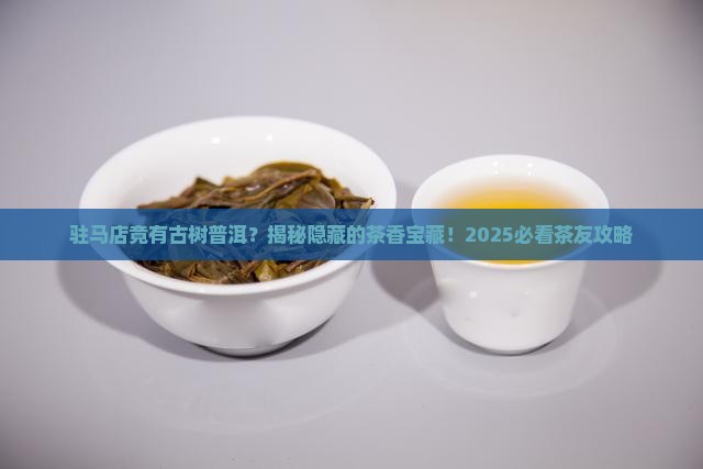 驻马店古树普洱茶
