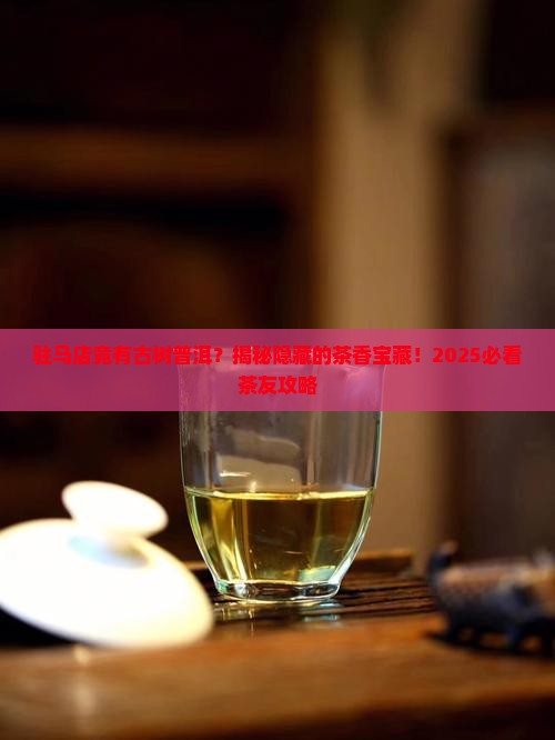 驻马店古树普洱茶