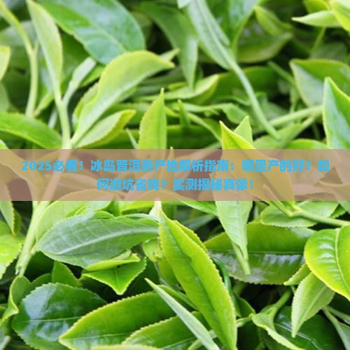 冰岛普洱茶是哪里产的好