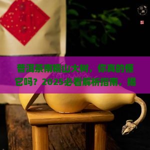 普洱茶南糯山大树