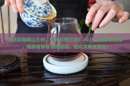 普洱茶南糯山大树