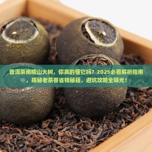 普洱茶南糯山大树