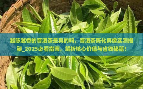 越陈越香的普洱茶是真的吗