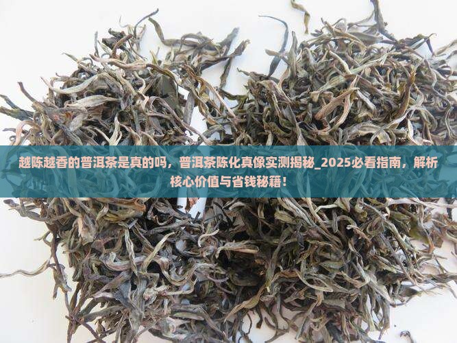 越陈越香的普洱茶是真的吗