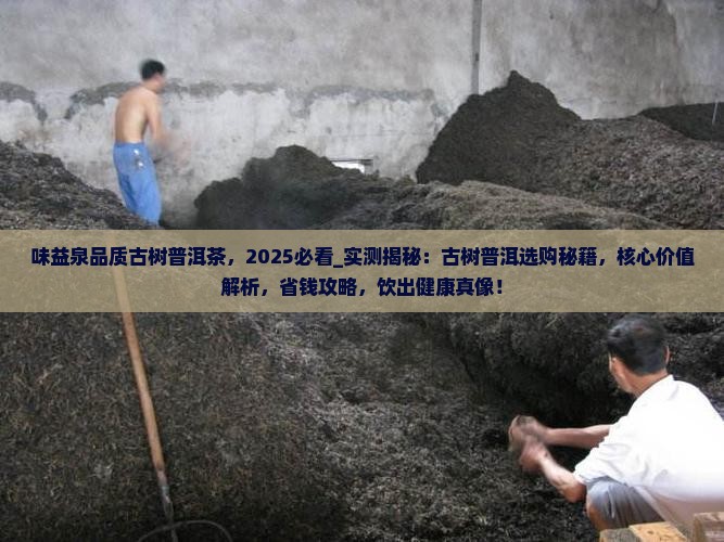 味益泉品质古树普洱茶