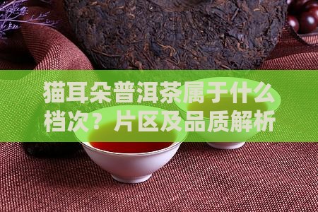 猫耳朵普洱茶属于什么档次