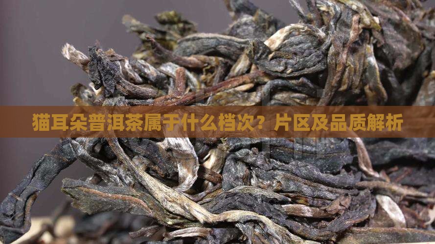 猫耳朵普洱茶属于什么档次