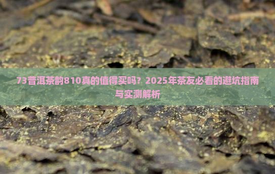 73普洱茶韵810
