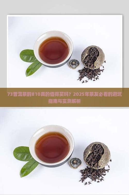 73普洱茶韵810