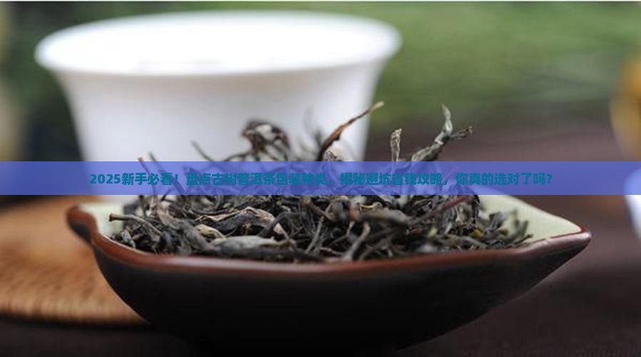 古树普洱茶包装种类