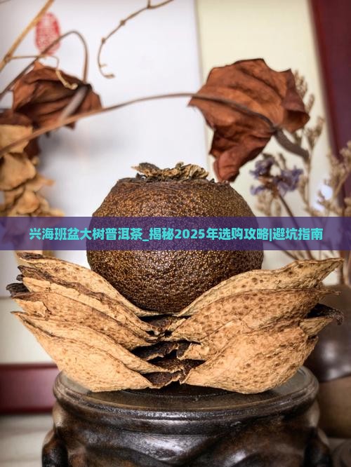 兴海班盆大树普洱茶