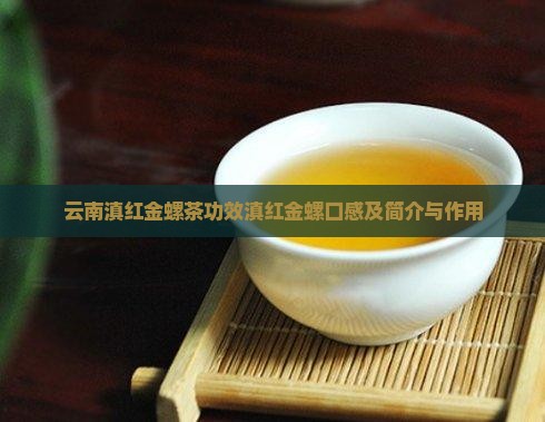 云南滇红金螺茶功效滇红金螺口感