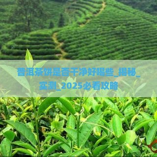 普洱茶饼是否干净好喝些