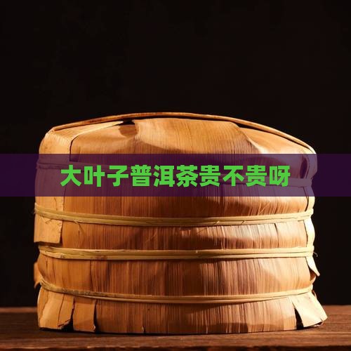 大叶子普洱茶贵不贵