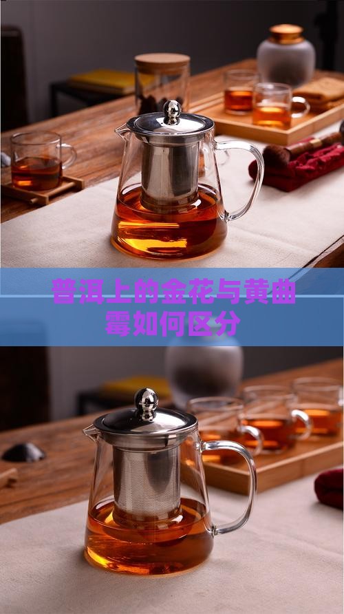 普洱上的金花和黄曲霉菌如何区分