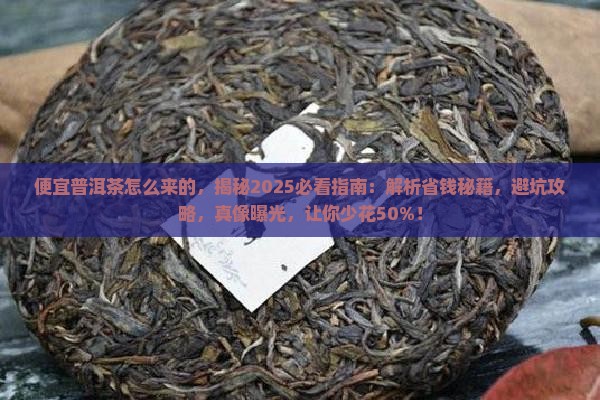 便宜普洱茶怎么来的
