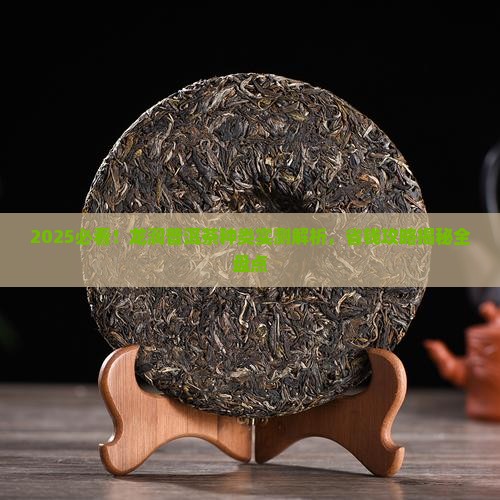 龙润普洱茶种类