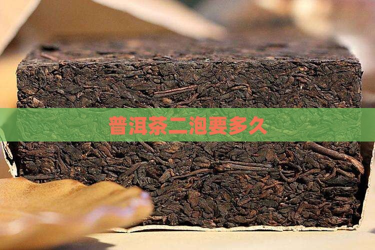 普洱茶二泡要多久